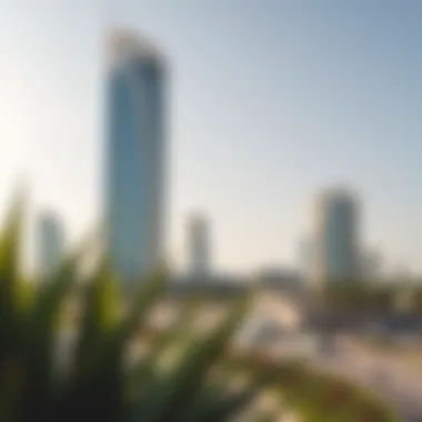 Magnificent The Liwa Building: A Comprehensive Insight into Its Significance in Dubai's Real Estate Landscape Magnificent The Liwa Building: A Comprehensive Insight into Its Significance in Dubai's Real Estate Landscape