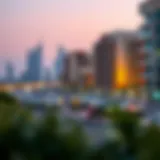 Analyzing the Dubai Real Estate Market Introduction