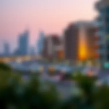 Analyzing the Dubai Real Estate Market Introduction Analyzing the Dubai Real Estate Market Introduction
