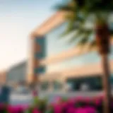 Educational Options Around International City, Dubai Introduction