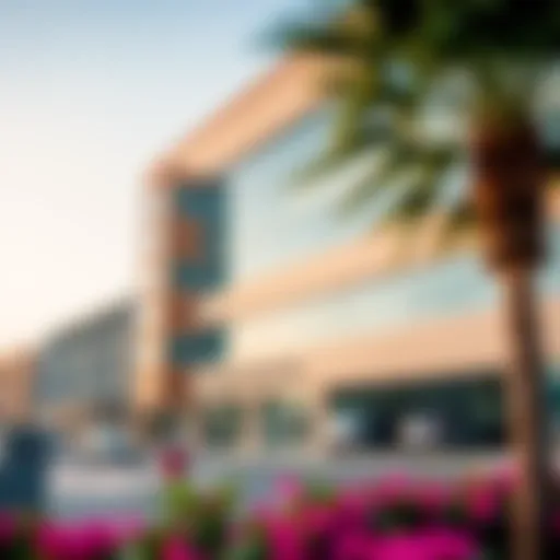 Educational Options Around International City, Dubai Introduction