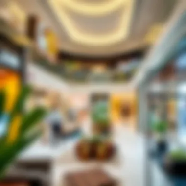 Diversity of Retail Offerings at Al Dhafra Mall Interior view showcasing diverse retail spaces