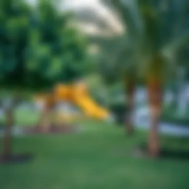 Green Spaces in Nad Al Hamar Community Park in Nad Al Hamar