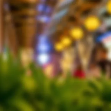 Notable Exploring Family-Friendly Activities in Dubai: A Guide for Parents Notable Exploring Family-Friendly Activities in Dubai: A Guide for Parents