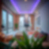 Exploring Rental Opportunities: Rooms for Rent in Baniyas Introduction