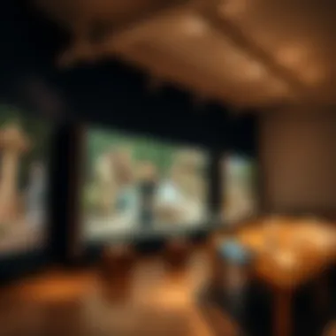 Interactive displays engaging visitors with cultural narratives