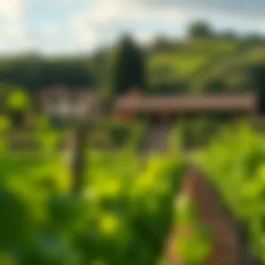 Tuscan Villa Amidst Vineyards A picturesque Tuscan villa surrounded by lush vineyards
