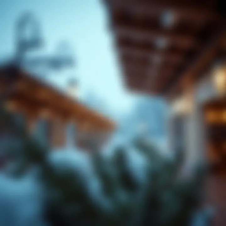 Notable Exploring Winter in the UAE: A Detailed Overview for 2023