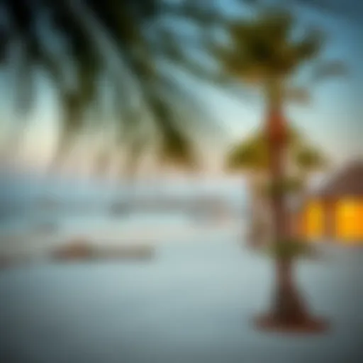 La Mer Beach: A Comprehensive Look at Dubai's Coastal Gem Introduction