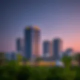 NMC Al Nahda: An Insight into a Emerging Sector Introduction