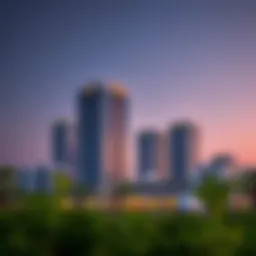 NMC Al Nahda: An Insight into a Emerging Sector Introduction