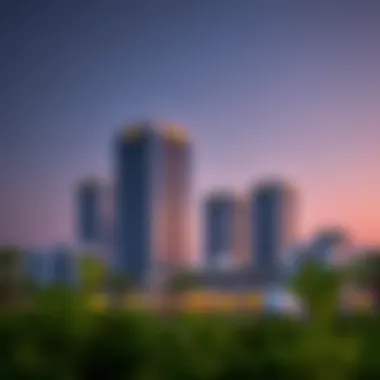 NMC Al Nahda: An Insight into a Emerging Sector Introduction